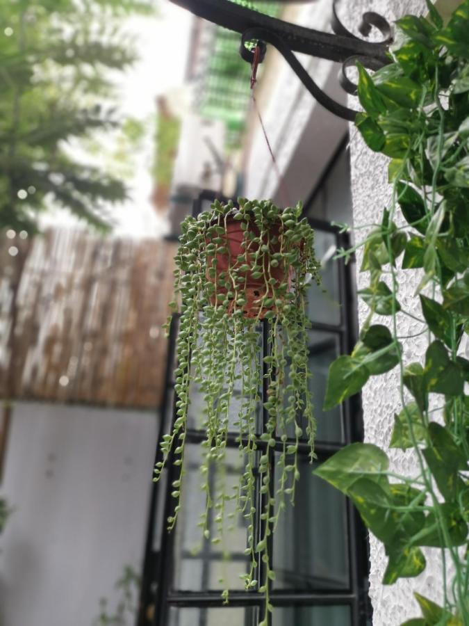 林人酒店 Jingan Ngoại thất bức ảnh